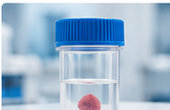 Fresh tissue preserved in a specimen container